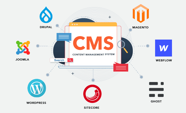 How Content Management Systems Drive Business Growth